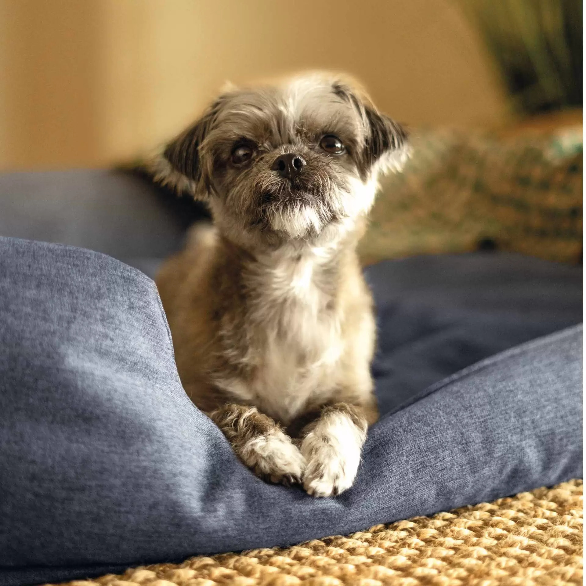 Intex 48702NP - Cuccia Gonfiabile per Cani, con Mini Pompa Manuale, 97x74x23 cm, Peso Massimo 22,7 kg