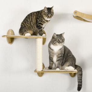 PawHut Estantes para Gatos 3 Piezas Juego de Estantes de Escalada para Gatos Muebles de Pared para Gatos con Caseta Hamaca Plataformas y Poste de Sisal Roble