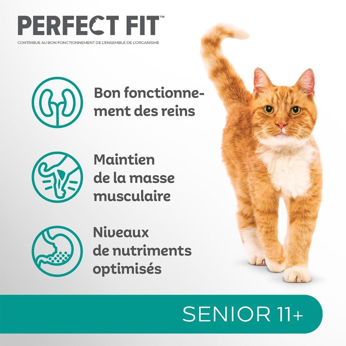 PERFECT FIT 11+ Croquettes Riche en Poulet chat senior stérilisé (3x1,4kg)