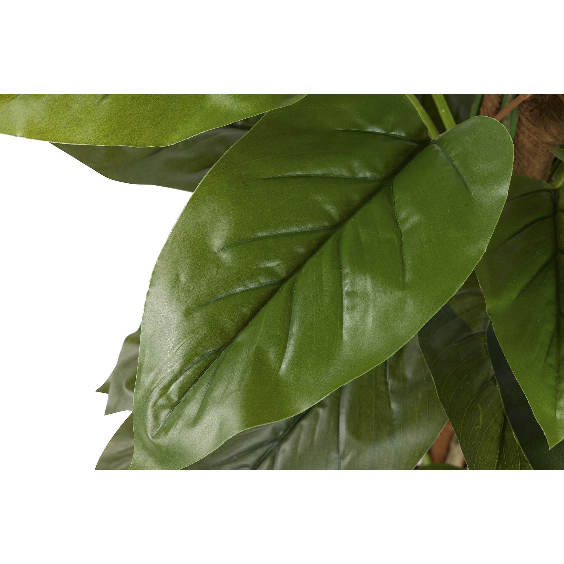 Planta Artificial Aureum Con Maceta 65x65x125 Cm