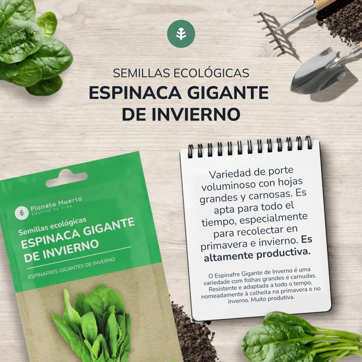 Semillas de Espinaca gigante de invierno ecológicas Planeta Huerto