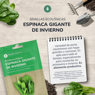 Semillas de Espinaca gigante de invierno ecológicas Planeta Huerto