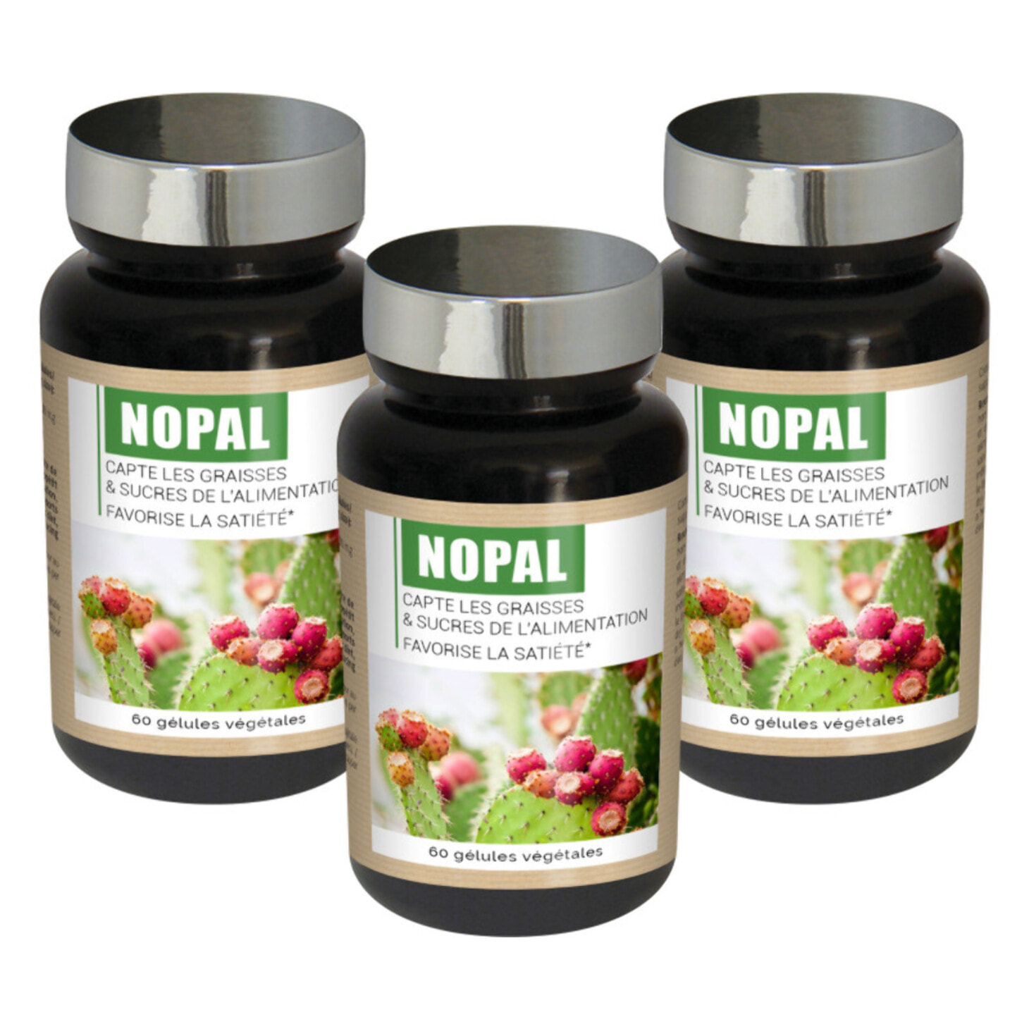 NUTRI EXPERT - Nopal - Capte les graisses et sucres- Favorise la satiété - Réduit appétit et apport calorique des repas - 100% extraits d'origine naturelle - Convient aux végans - Lot de 3 produits