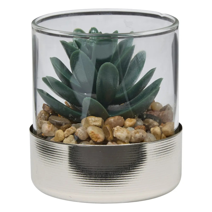 Terrarium Sky 8,5x8cm