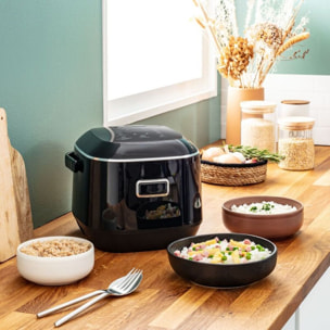 Cuiseur riz TEFAL RK6012F1 Cuiseur à Riz FUZZI