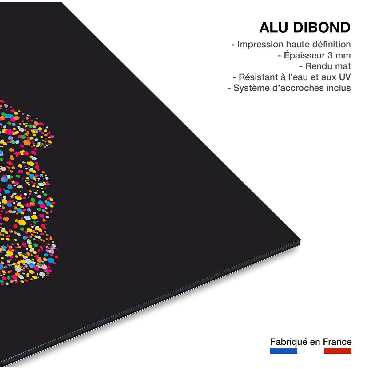 Tableau abstrait sensa Tableau alu Dibond