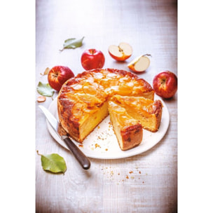 Kit de pâtisserie MOULINEX pour robot COMPANION / I-COMPANION