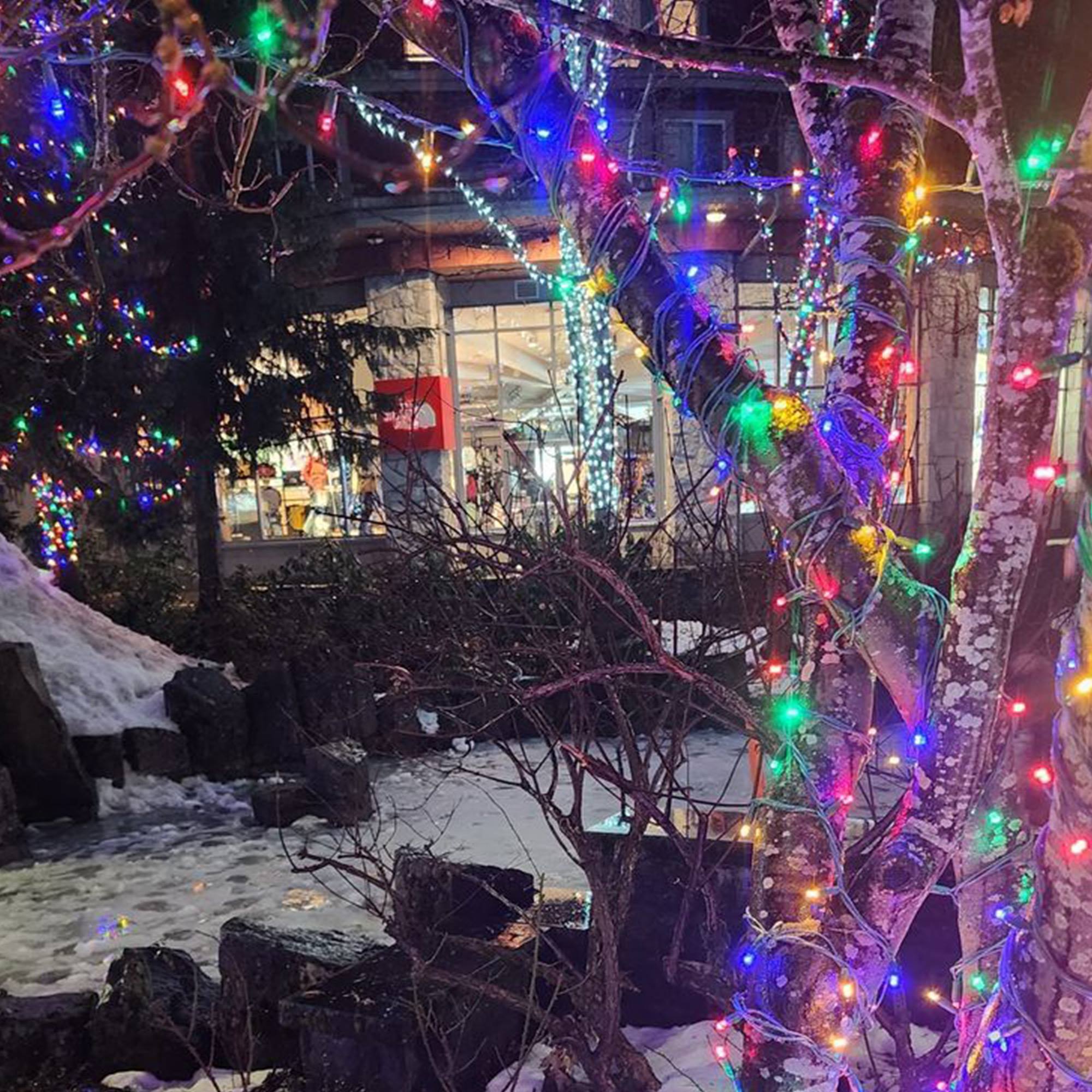 cadena de luces led solar recargable multicolor con control remoto