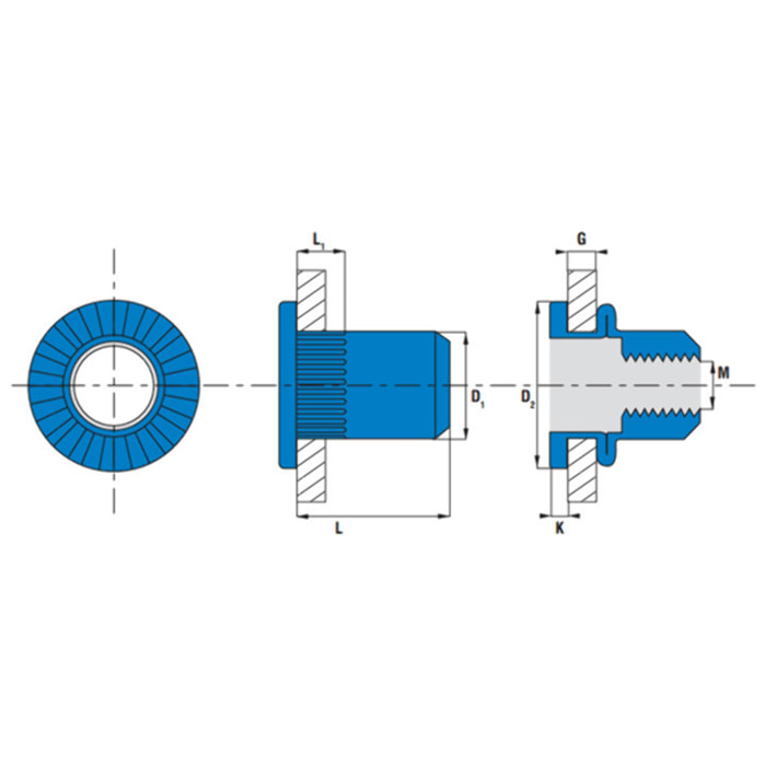 Écrou cranté tête plate SCELL IT ØM4 acier zingué - L.12.5 mm - Øperç.6 mm - Boîte de 500 - TCD0440