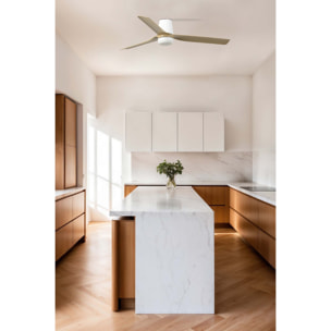 PUNT TUB M LED Ventilateur de plafond blanc/bois clair TUYA