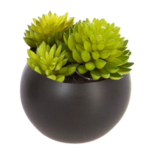 Plante grasse artificielle - pot en céramique - H8 cm