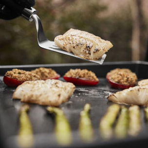 Plancha gaz WEBER black 2 brûleurs à poser,  56x41 cm