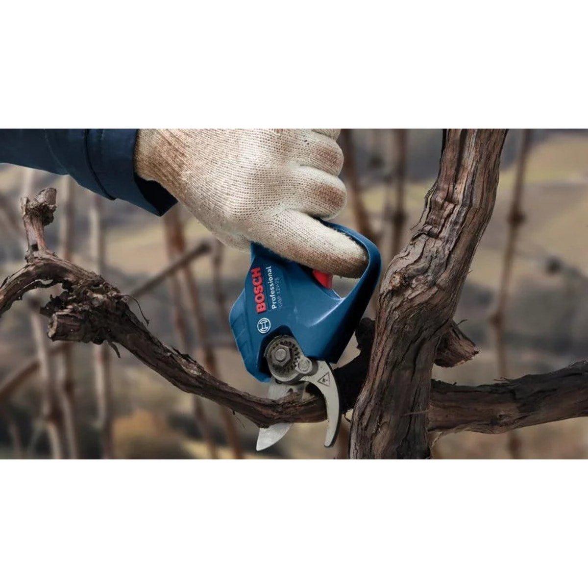 Élagueur sans fil Pro Pruner GGP 12V-25 Professional sans batterie, ni chargeur - BOSCH - 06008D8101