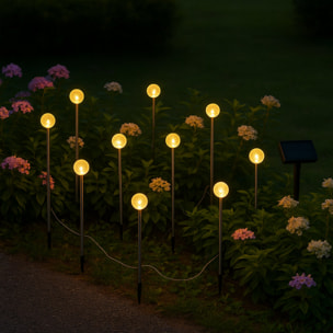 10 Mini boule solaire à piquer LOLLY 5M