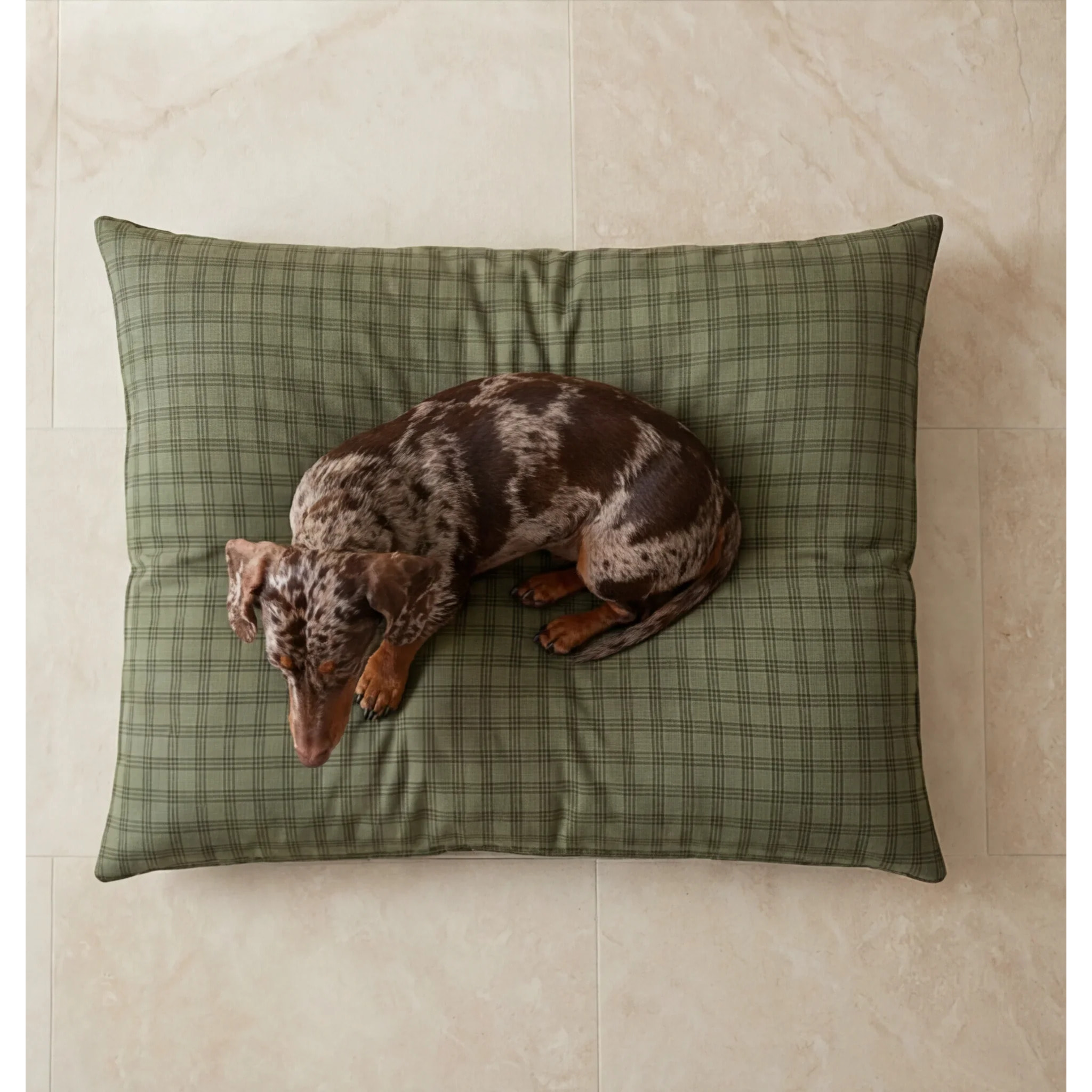 Lit pour animaux déhoussable et antitaches Pancho Green