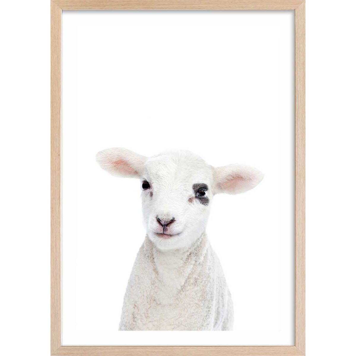 Affiche enfant bébé agneau  Affiche + cadre en bois - Chêne