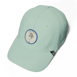 Gorras Hanukeii Zebra Green / Blue