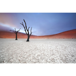 Tableau de Namibie, Le deadvlei Tableau alu Dibond