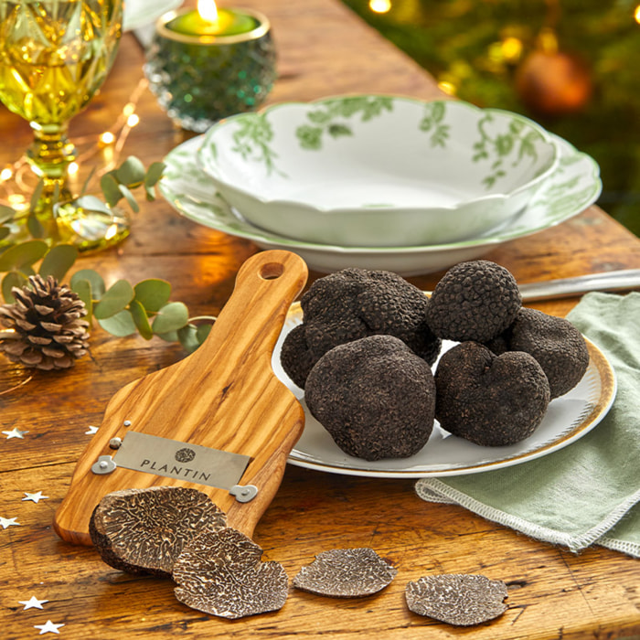 Truffes noires fraiches du Périgord Tuber Melanosporum 50g ? Plantin