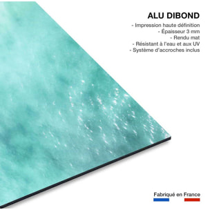 Tableau mer et plage plage rose à bali  Tableau alu Dibond