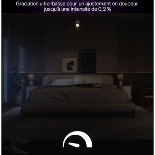 Ampoule LED connectée PHILIPS HUE E27 White&Color Ambiance 100W