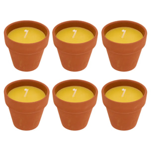 Lot de 6 bougies 39g Terry parfumées à la citronnelle pot en terre cuite