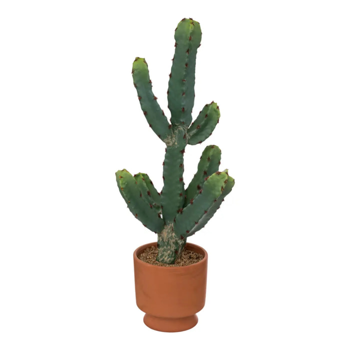 Cactus artificiel "Ali" - H49 cm