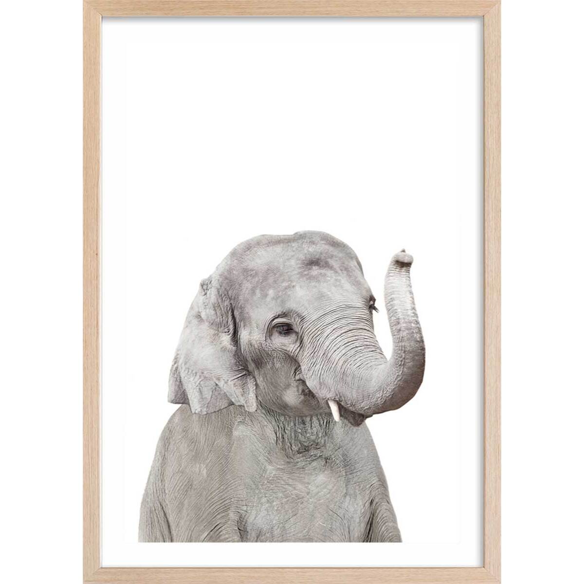 Affiche enfant bébé élephant  Affiche + cadre en bois - Chêne