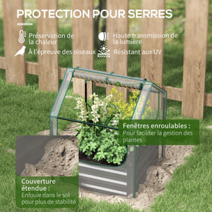 Mini carré potager serre 2 en 1 - 70 x 70 x 90 cm - anthracite transparent