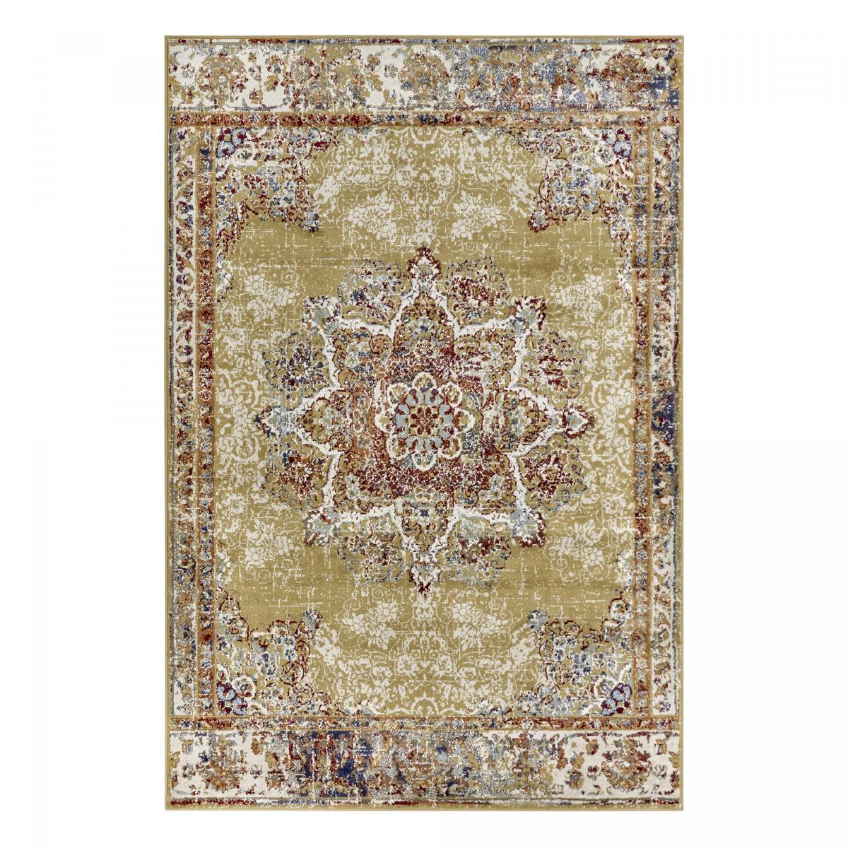 Tapis salon Rectangulaire Oriental