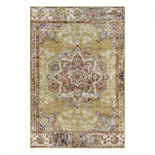 Tapis salon Rectangulaire Oriental