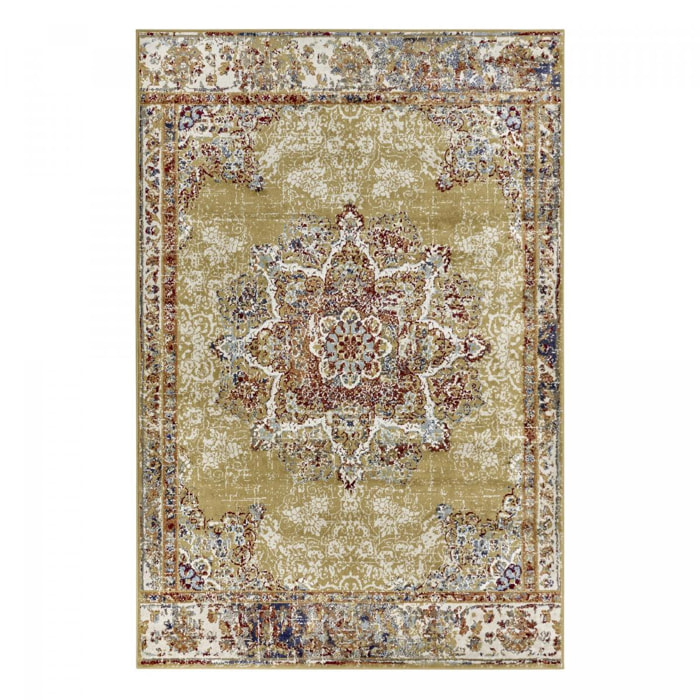 Tapis salon Rectangulaire Oriental