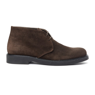 Chukka boot British Passport Marrone