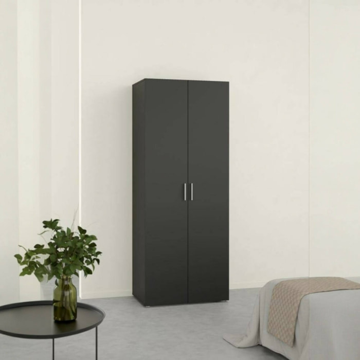Guardaroba 2 ante Arg, Mobile camera da letto, Cabina armadio portabiti, Armadio appendiabiti, 79x50 h201 cm, Nero