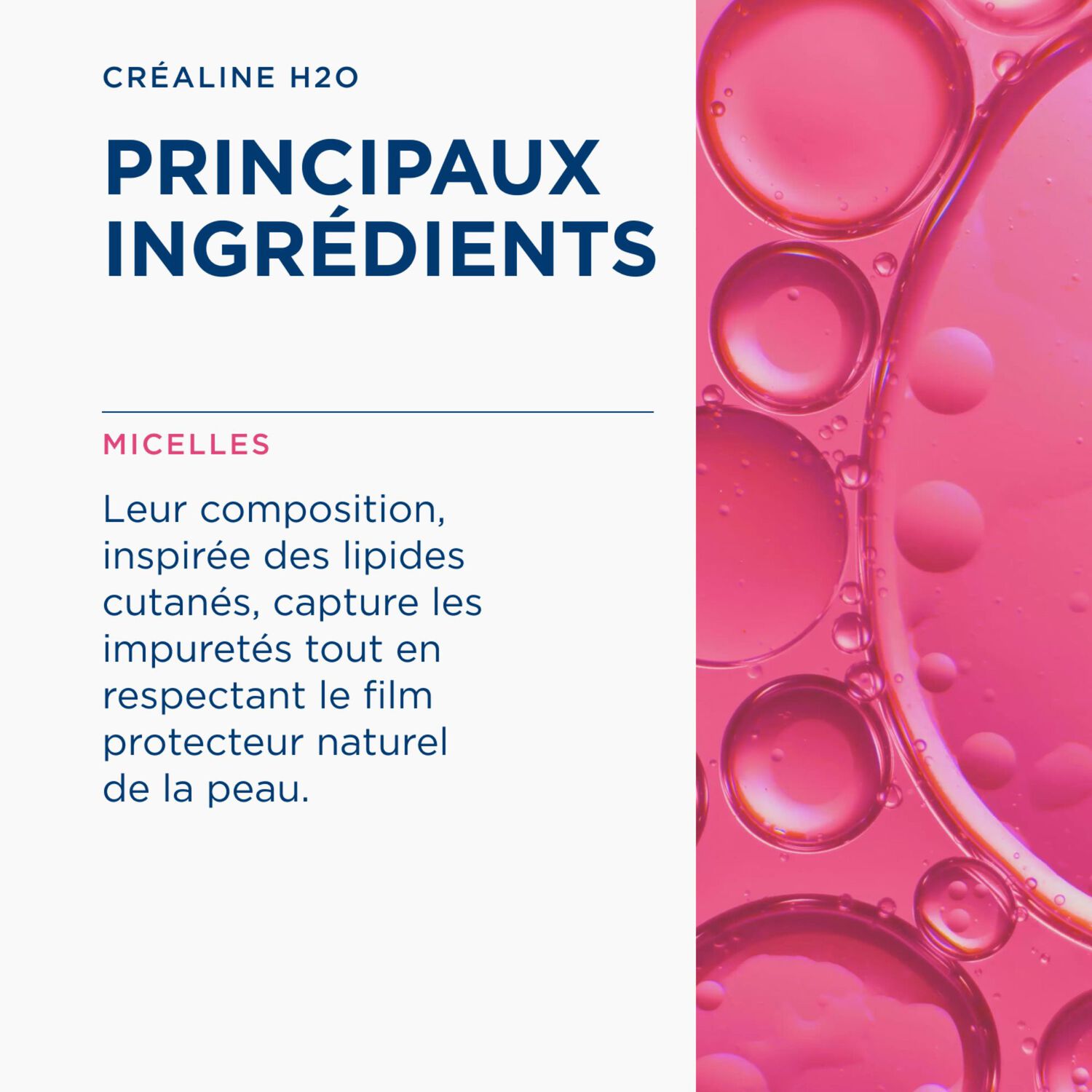 Créaline H2O - MICE P SE 850 ML