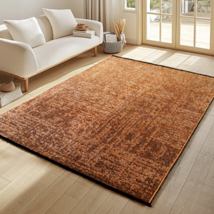 MIRA - Tapis de salon brun au design abstrait