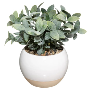 Plante artificielle - pot en céramique - H20 cm