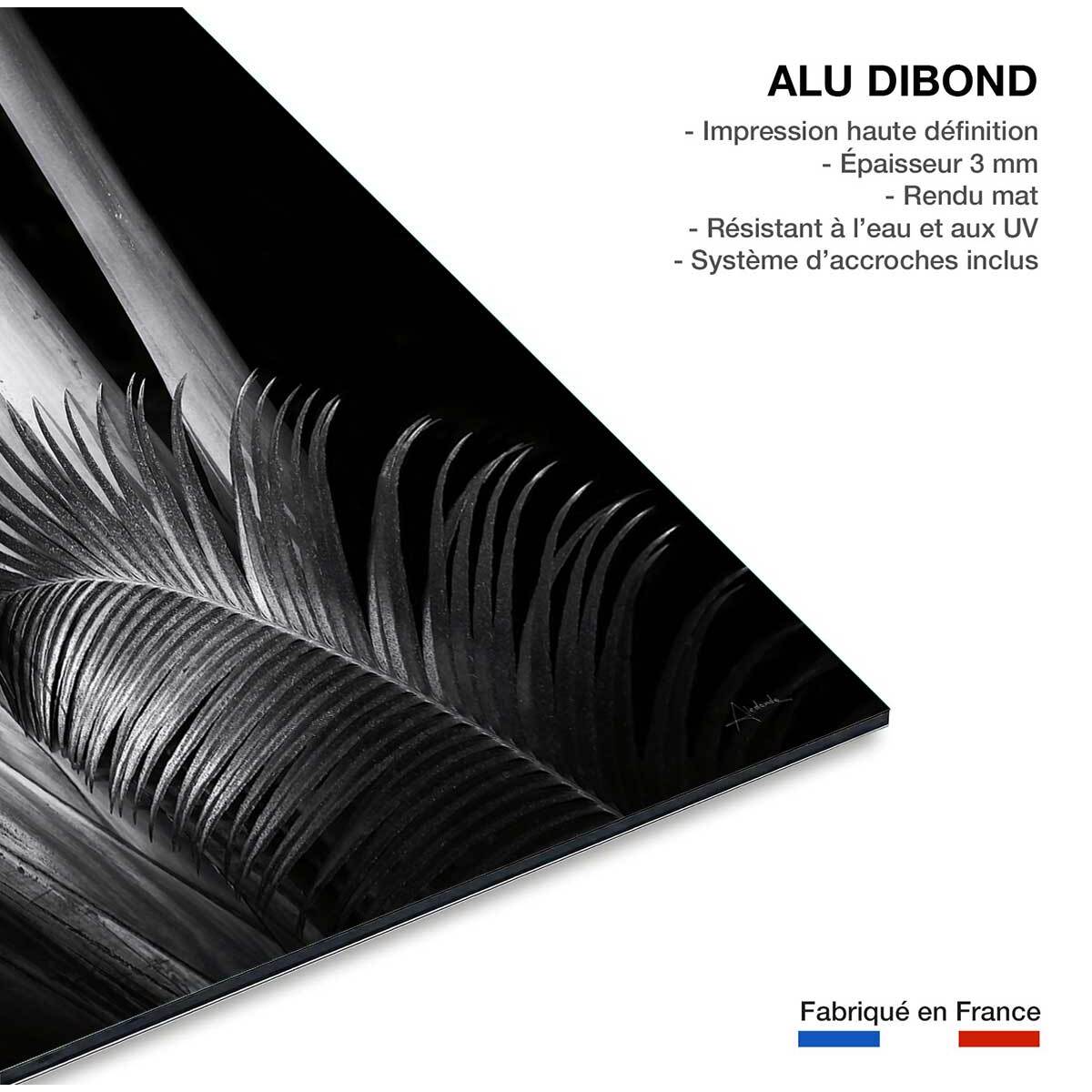 Tableau fleurs Marbella palm Tableau alu Dibond