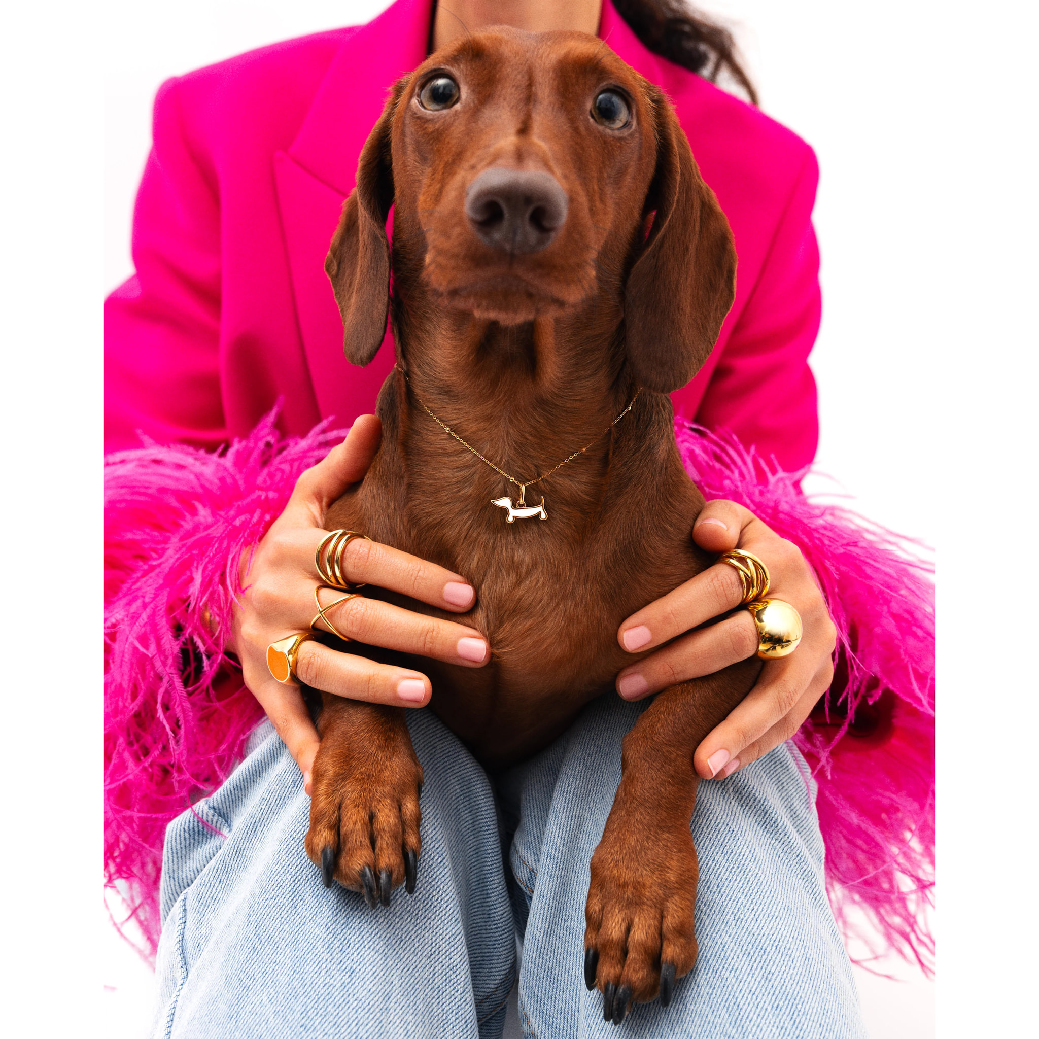 Ciondolo Cane Teckel Smaltato Bianco Placcato Oro