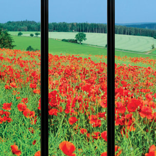 Papier peint, fenêtre sur coquelicots Vert