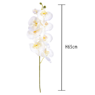 Phalaenopsis Con 8 Fiori. Altezza 65 Cm - Pezzi 12 - 14X65X8cm - Colore: Bianco - Bianchi Dino - Fiori Artificiali