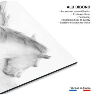 Tableau chevaux blancs Tableau alu Dibond