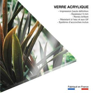 Tableau fleur de yucca et forêt tropicale Tableau plexiglas
