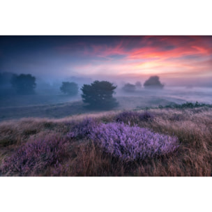 Tableau couleur chaude Tableau plexiglas