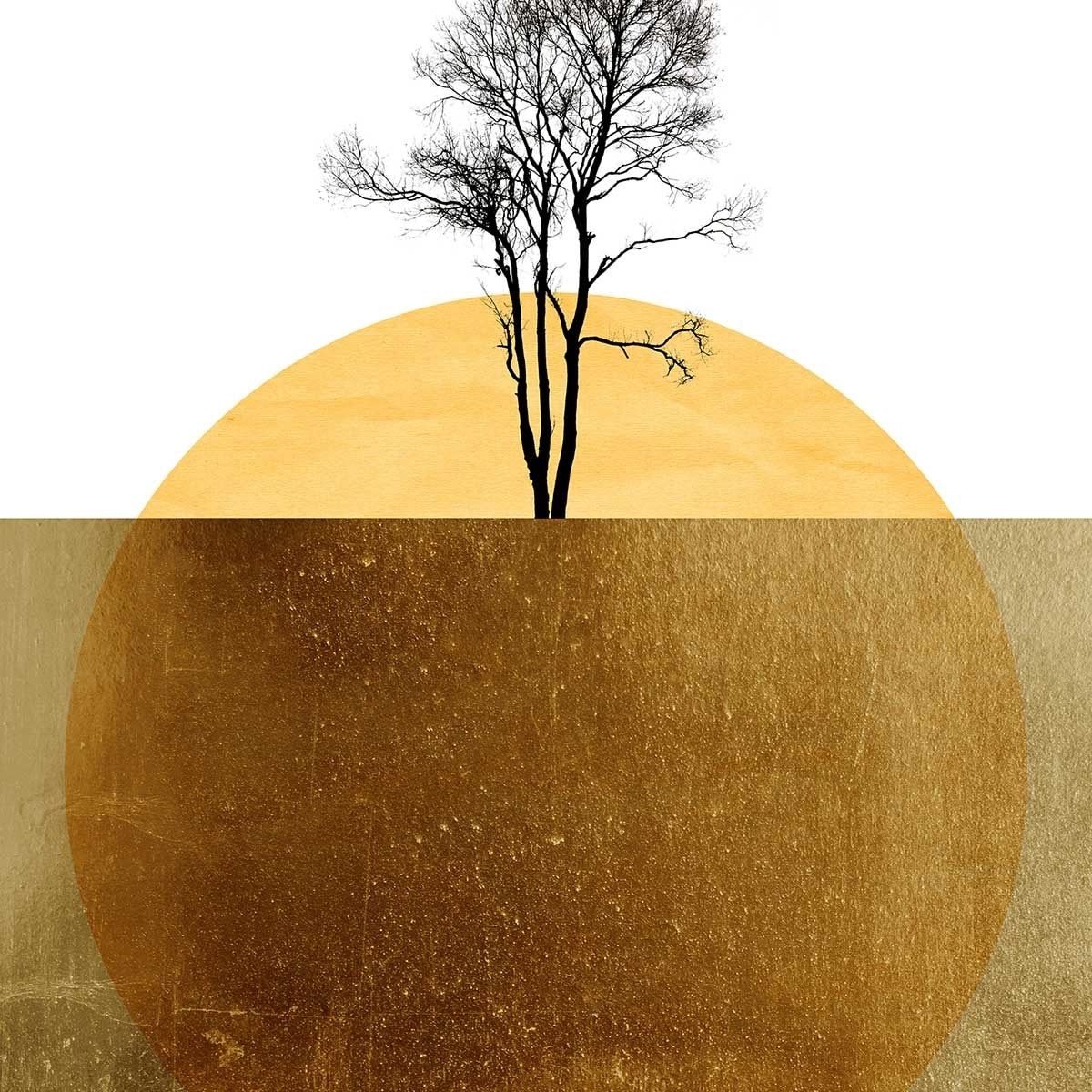 Affiche graphique Golden ocean Affiche + cadre en bois - Noir