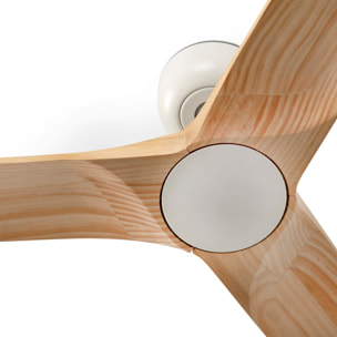 HEYWOOD S LED Ventilateur de plafond blanc/pino TUYA