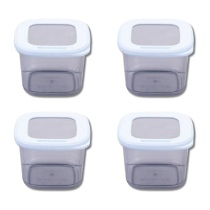 Lot de 4 Boîtes à Provisions Fackelmann Storage