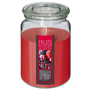 Vela perfumada de frutos rojos 510g d. 10 x h. 14,5 cm