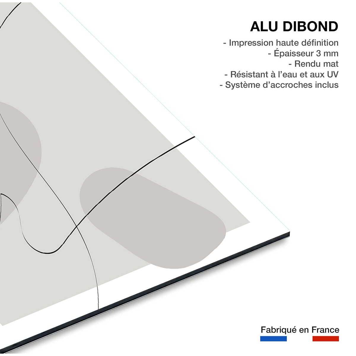 Tableau contemporain forme et autographe Tableau alu Dibond