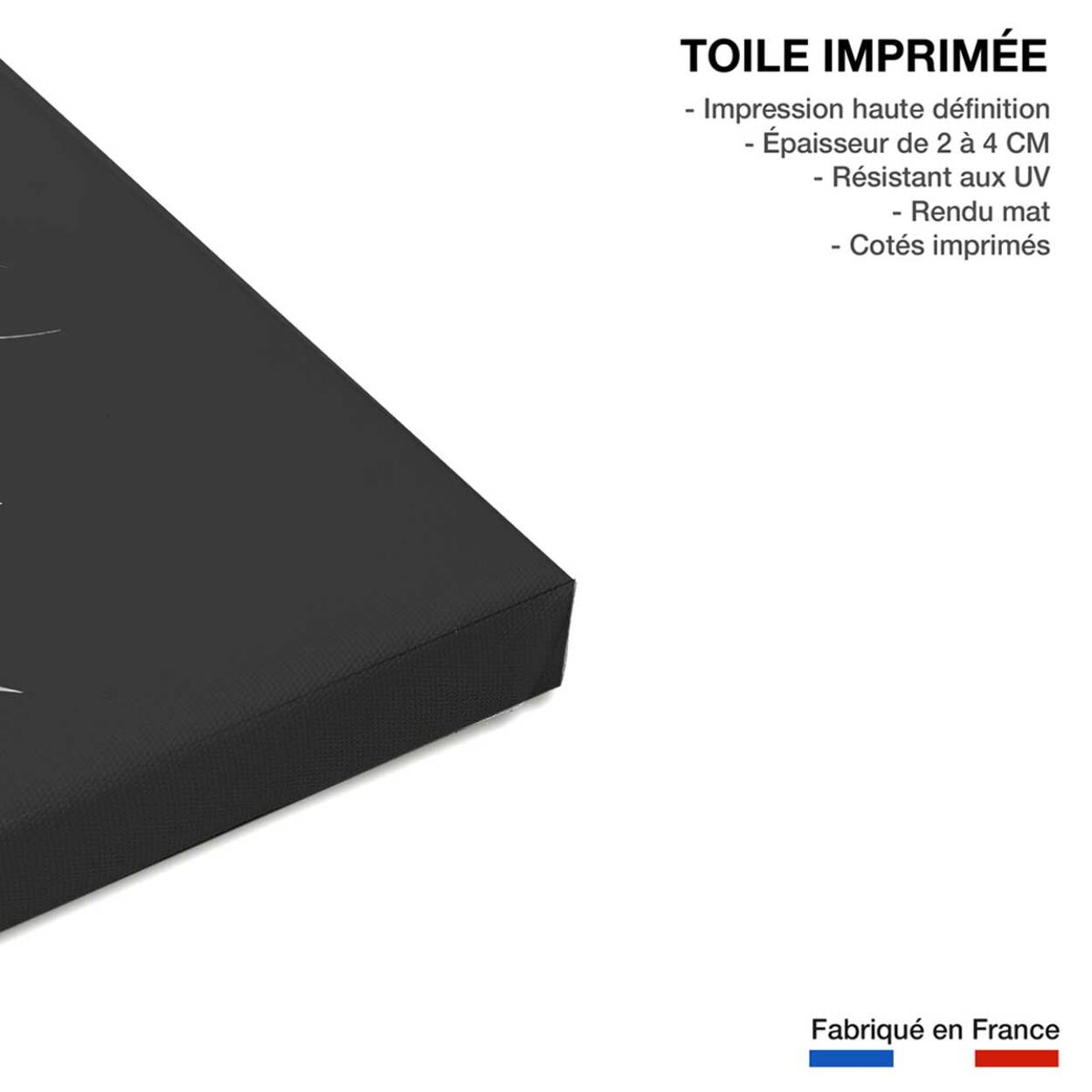 Tableau palme X Toile imprimée